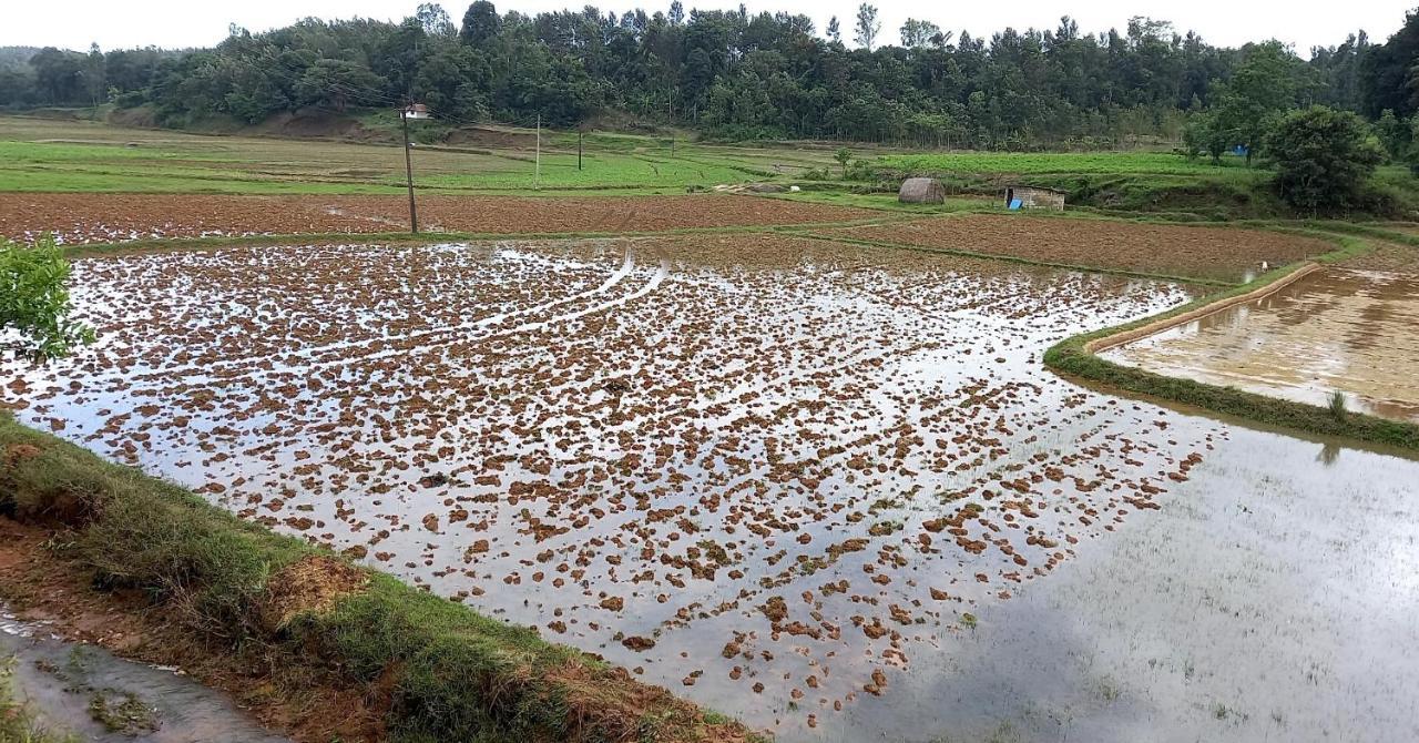 Coorg Coffee Park Farmstay Somvārpet المظهر الخارجي الصورة
