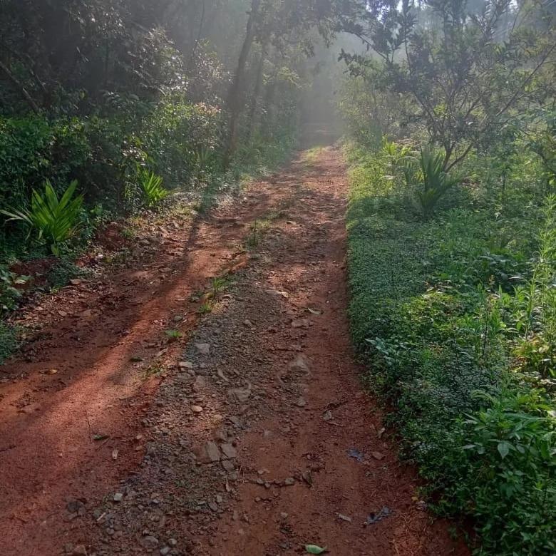 Coorg Coffee Park Farmstay Somvārpet المظهر الخارجي الصورة