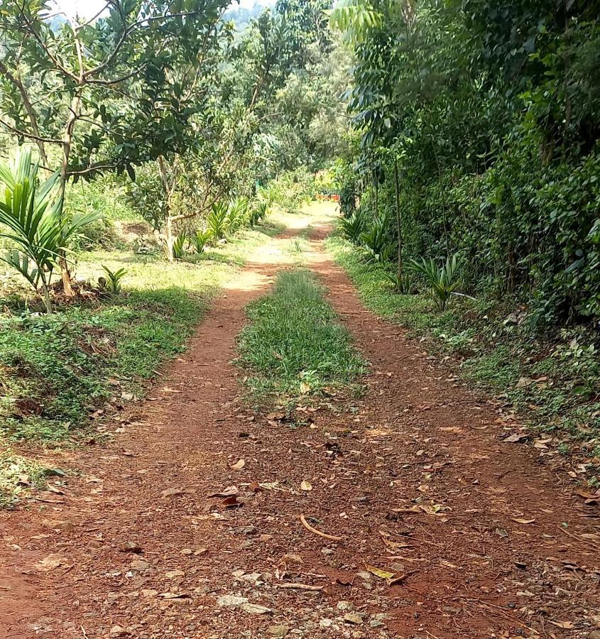 Coorg Coffee Park Farmstay Somvārpet المظهر الخارجي الصورة