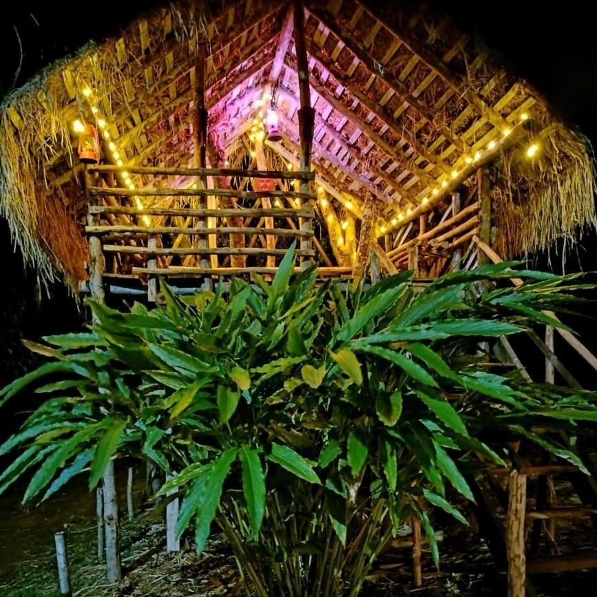 Coorg Coffee Park Farmstay Somvārpet المظهر الخارجي الصورة
