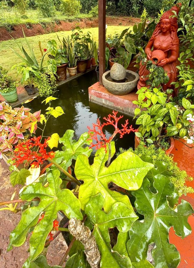 Coorg Coffee Park Farmstay Somvārpet المظهر الخارجي الصورة