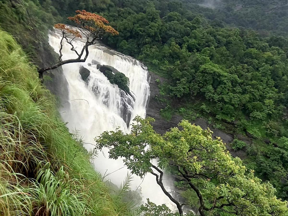 Coorg Coffee Park Farmstay Somvārpet المظهر الخارجي الصورة