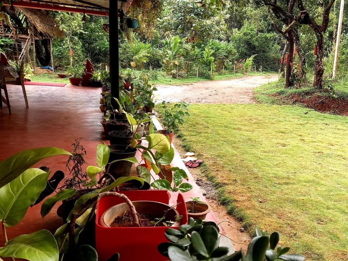 Coorg Coffee Park Farmstay Somvārpet المظهر الخارجي الصورة