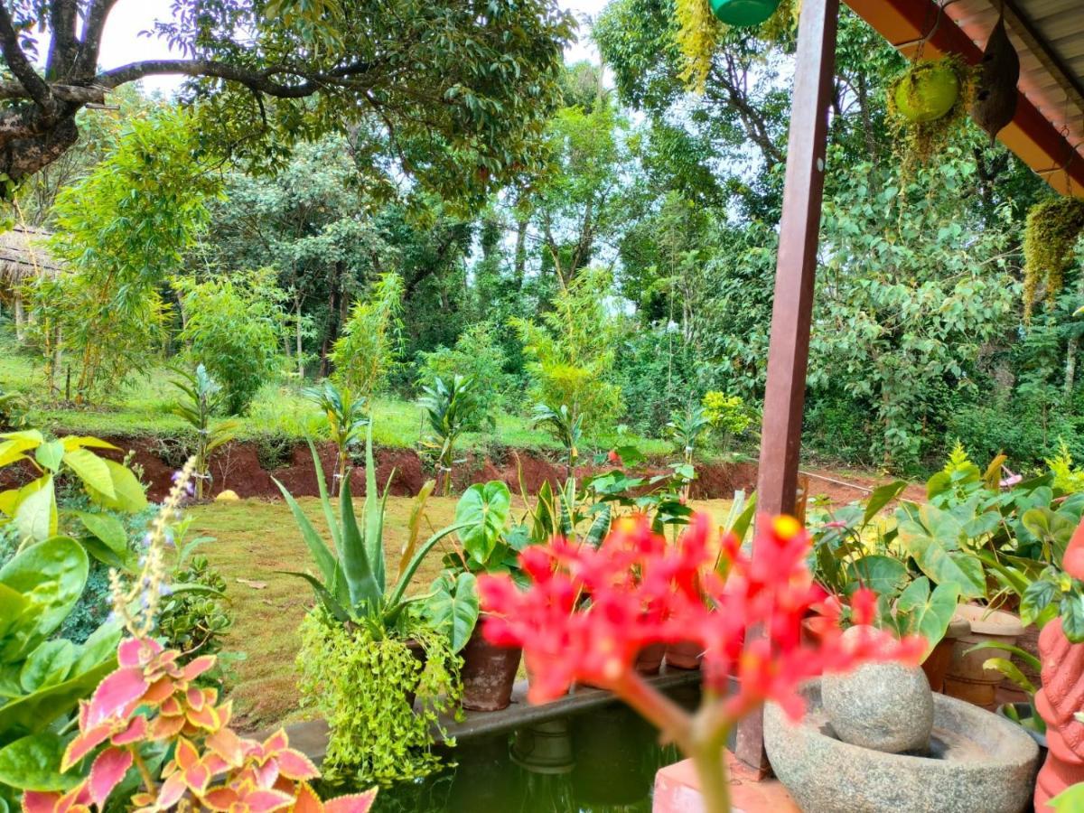 Coorg Coffee Park Farmstay Somvārpet المظهر الخارجي الصورة