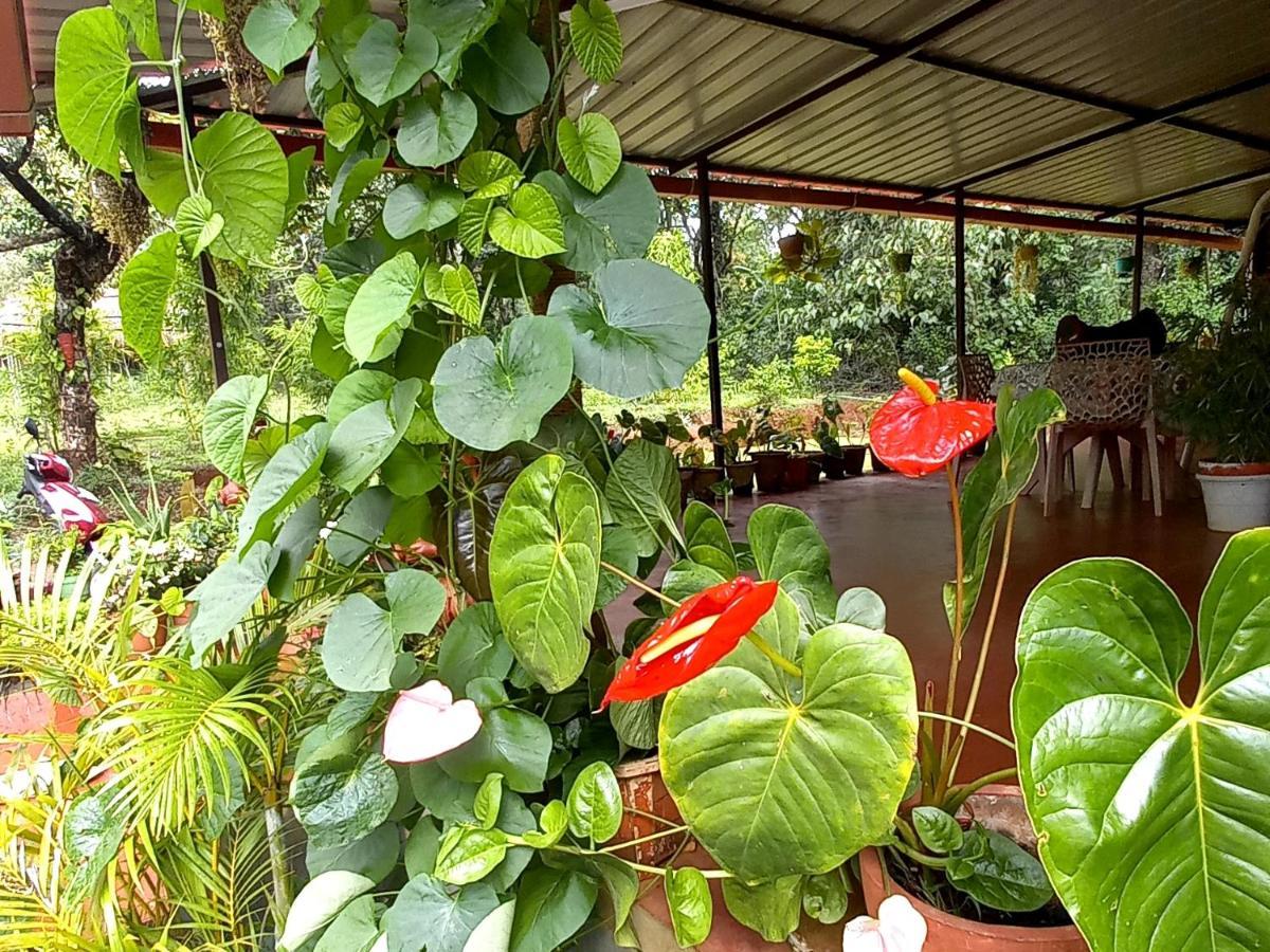 Coorg Coffee Park Farmstay Somvārpet المظهر الخارجي الصورة