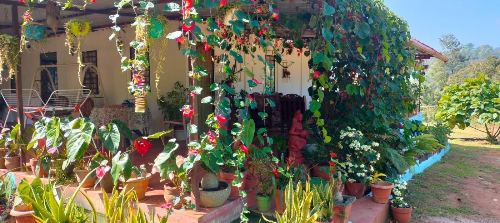 Coorg Coffee Park Farmstay Somvārpet المظهر الخارجي الصورة