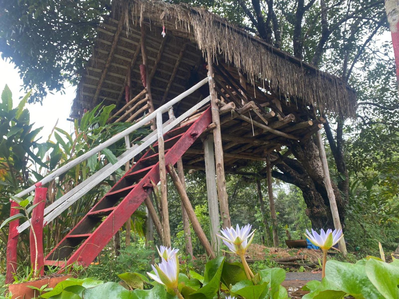 Coorg Coffee Park Farmstay Somvārpet المظهر الخارجي الصورة