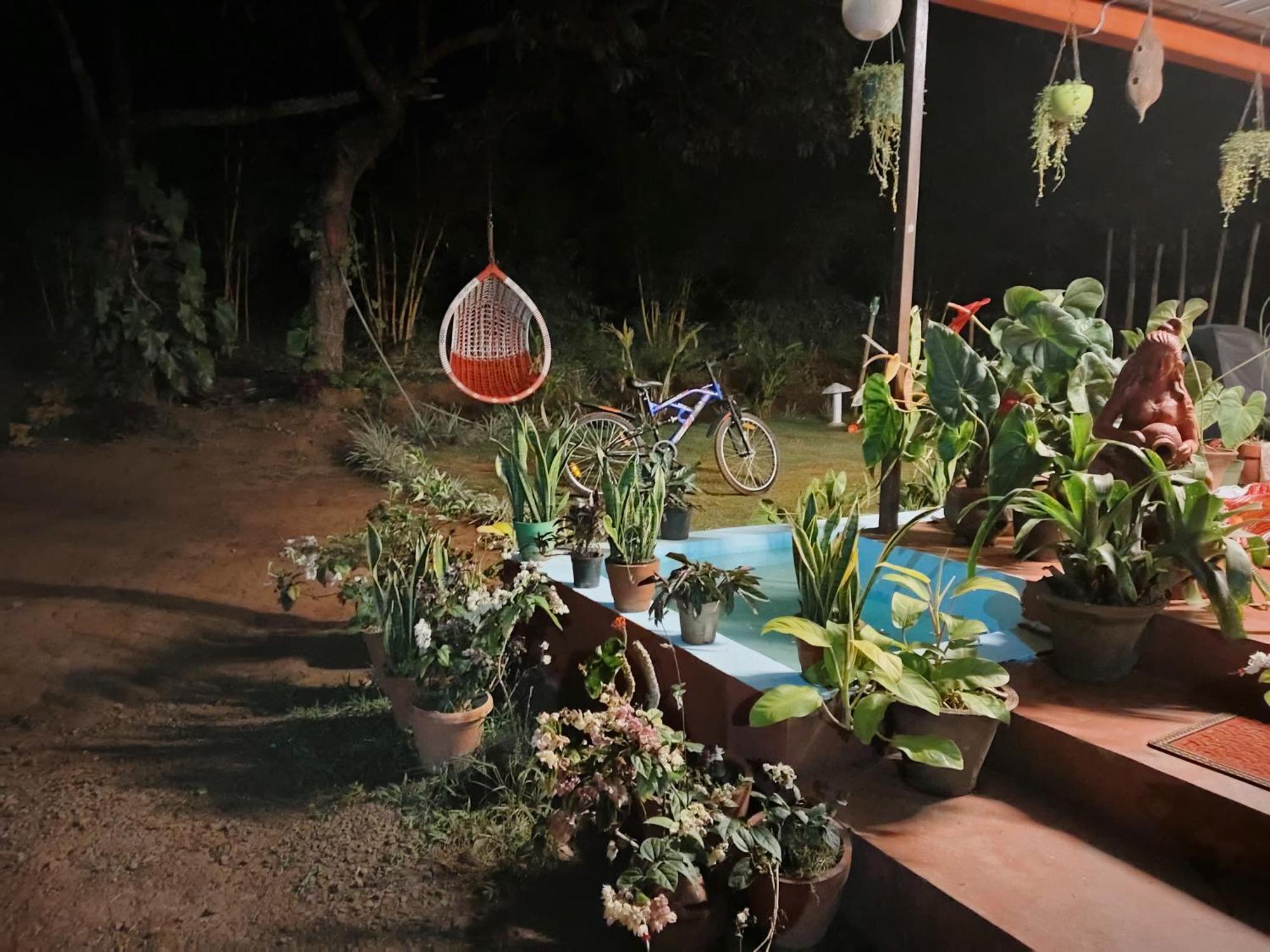 Coorg Coffee Park Farmstay Somvārpet المظهر الخارجي الصورة